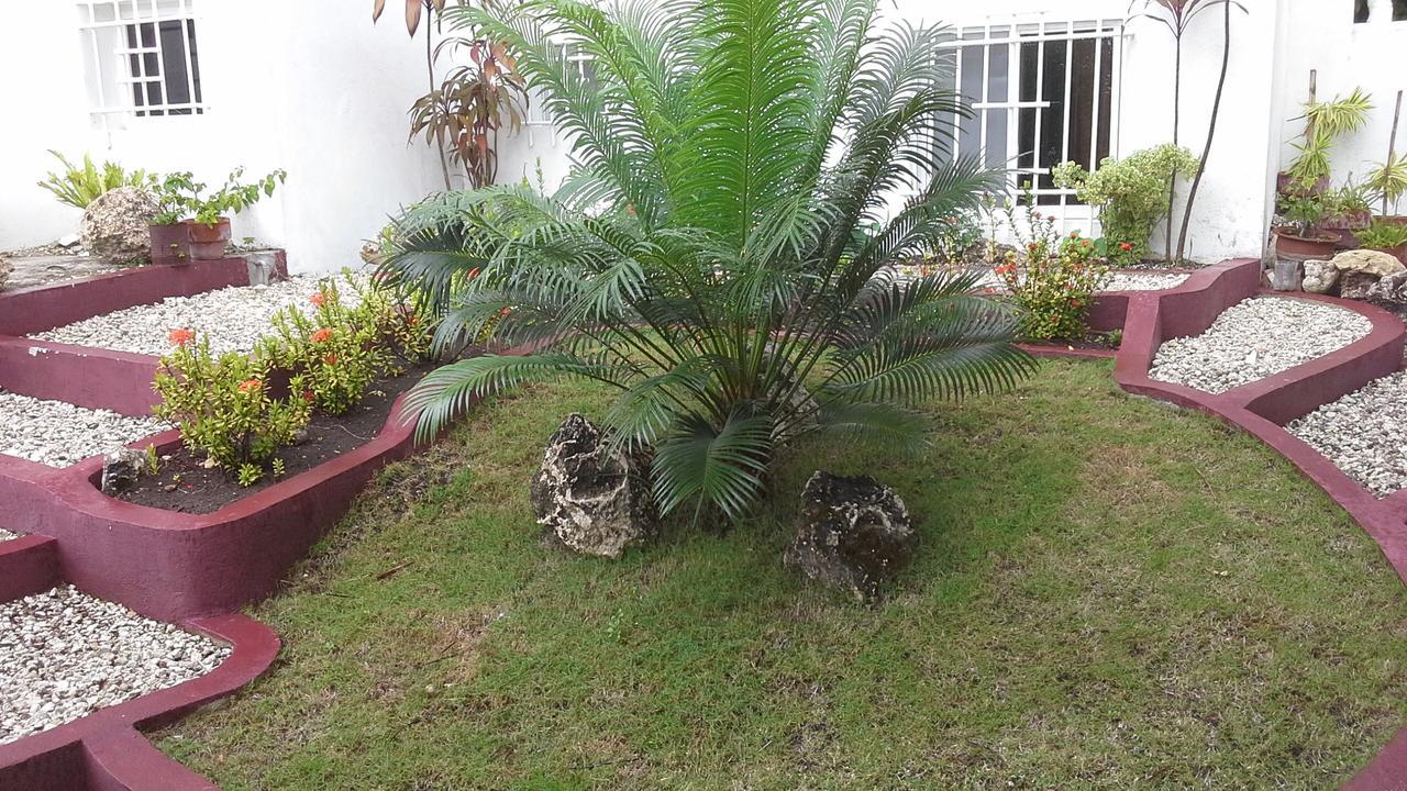 House Rapunzel Hotel Oslob Bagian luar foto